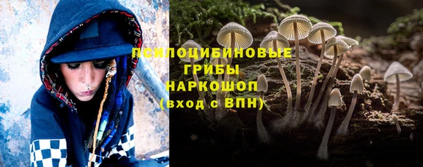 гидропоника Няндома