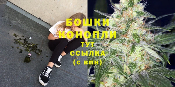 гидропоника Няндома