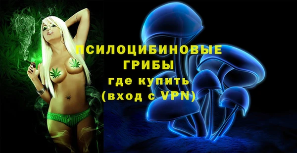 гашик Дмитриев