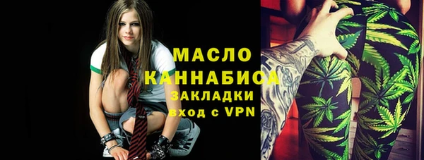 сатива Каменка
