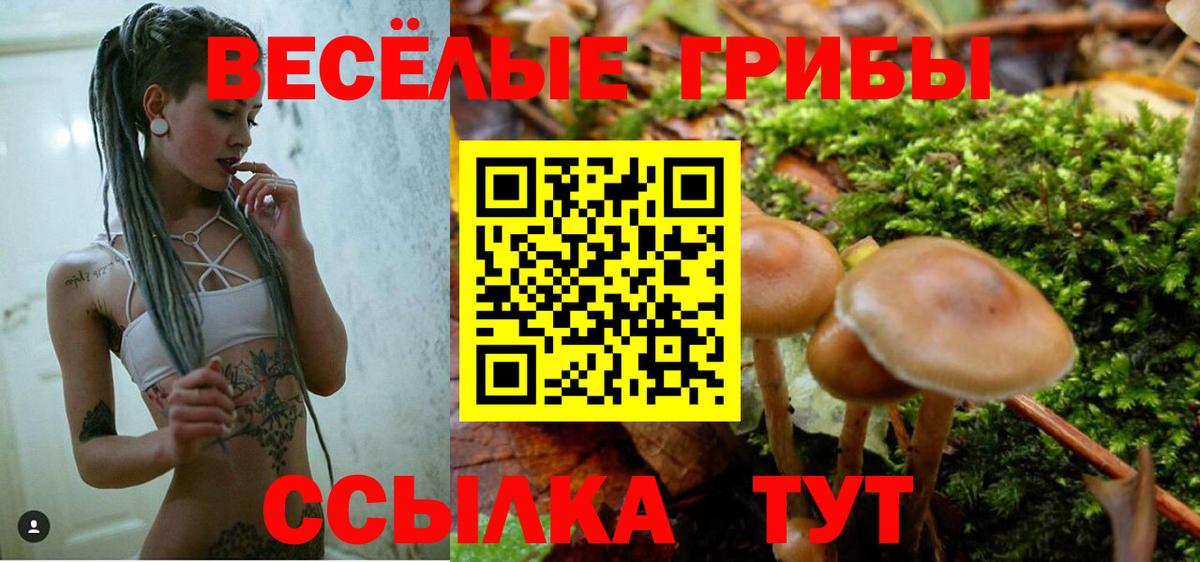 Псилоцибиновые грибы Cubensis Аксай