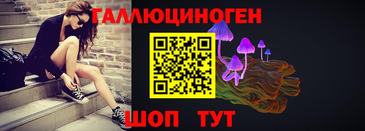 где найти   Галлюциногенные грибы MAGIC MUSHROOMS  Вход с VPN  Аксай  Псилоцибиновые грибы MAGIC MUSHROOMS 